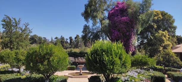 istock Plants and fountain 1429931399