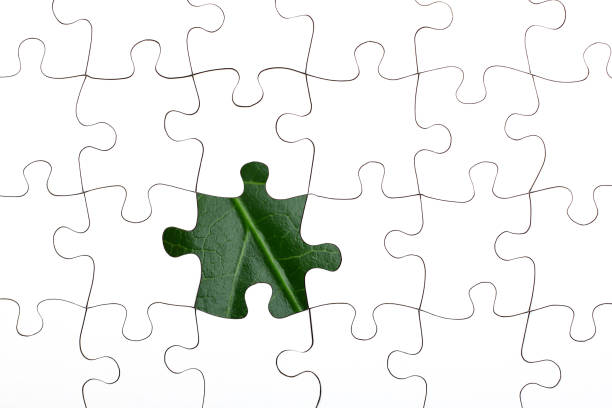 istock Jigsaw Puzzle-green concepts,Leaf jigsaw 1429931460