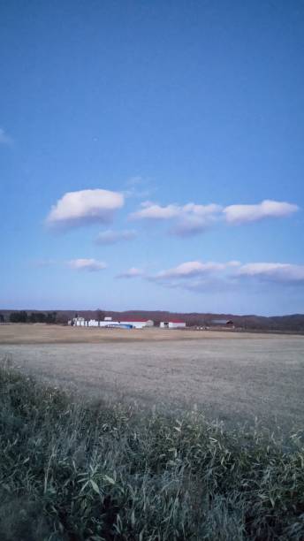 istock A farm in early winter 1429947115