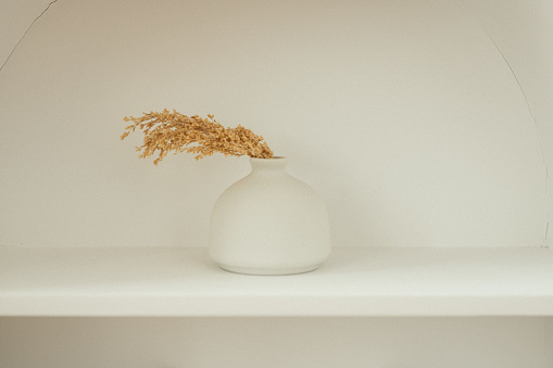 Light Background with Branch of fluffy beige pampas grass in little white color vase. Copy space