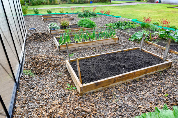 istock Greenhouse and cultivating boxes in private garden 1429949233