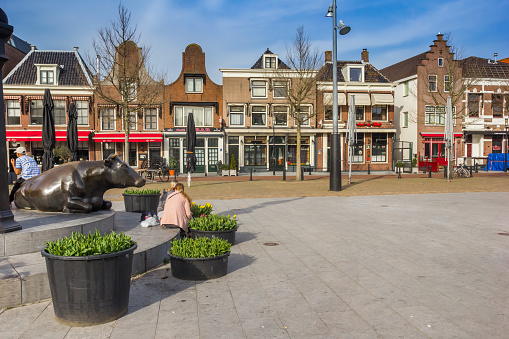 Cow sculpture and historic houses on the Koemarkt square in Purmerend, Netherlands