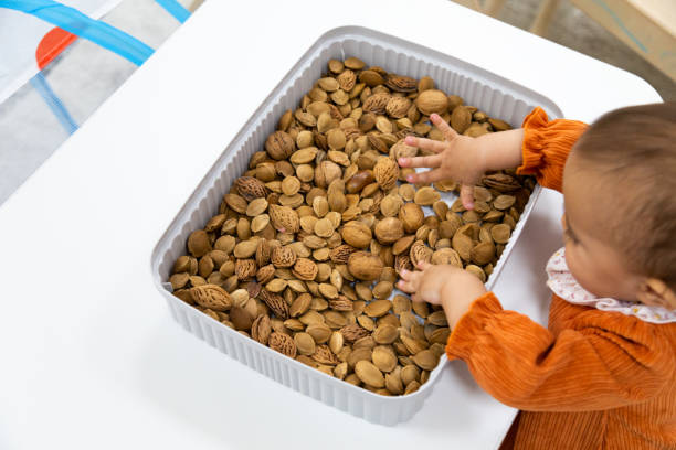istock Toddler playing sensory game with dried pits and nuts 1429951648