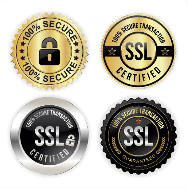 collection of SSL Protection Secure icon vector illustration isolated on white background collection of SSL Protection Secure icon vector illustration isolated on white background hypertext transfer protocol stock illustrations