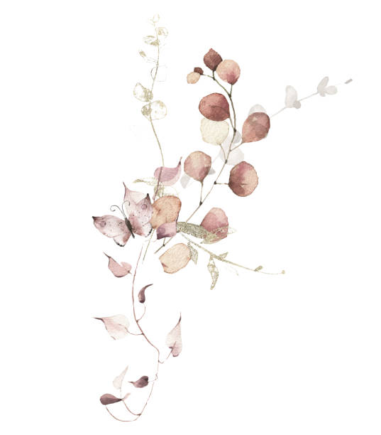 istock Watercolour floral composition on white. Pink, beige, brown dry eucalyptus branches, leaves, butterfly, golden element 1429961217