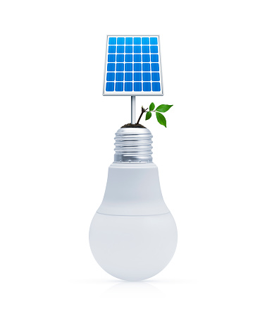 Solar cell and fresh green tree leaves on soil with light bulb on white background, Green ecology and saving energy concept