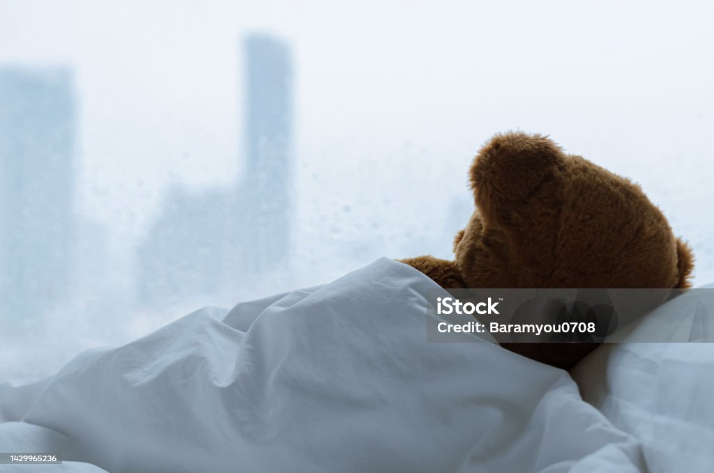 Teddy bear sleeping alone on bed with white pillow and blanket Teddy bear sleeping alone on bed with white pillow and blanket facing to window with rain drop in the lonely day. Anxiety Stock Photo