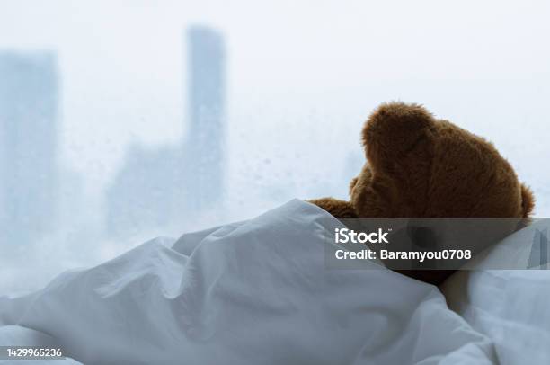 Teddy Bear Sleeping Alone On Bed With White Pillow And Blanket Stock Photo - Download Image Now