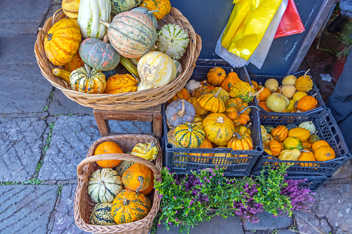 Pumpkins and Gourds in Baskets at Farmers Market Autumn