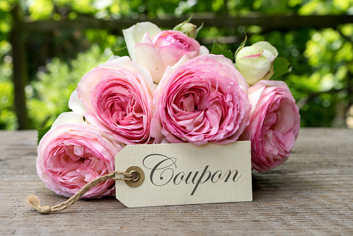 Gift card with pink roses