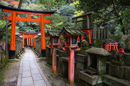 Torii gates of Fushimi Inari Taisha shrine in Kyoto, Japan. There are more than 10,000 torii gates at Fushimi Inari.
