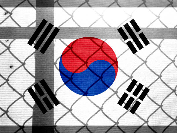 istock Backlight Backlight with actual Korean flag and barbed wire. Prison concept with border image. Double exposure hologram 1429975936