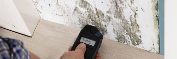 istock Person Hand Testing The Moldy Wall 1429977845