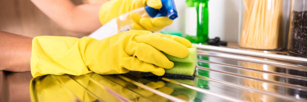 istock Person's Hand Cleaning Stainless Steel Sink 1429979065