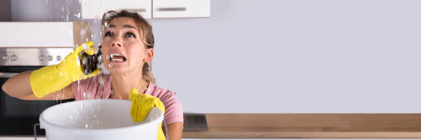 istock Woman Calling Plumber To Fix Water Leaking From Ceiling 1429979217
