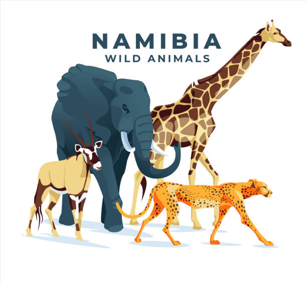 istock Wild African animals on a white background: elephant, giraffe, cheetah, oryx antelope. 1429980983