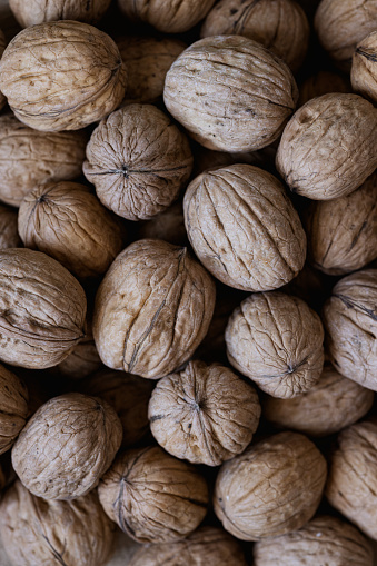 Istanbul, Turkey-October 3, 2022: Close-up of ripe walnuts. Shot with Canon EOS R5.