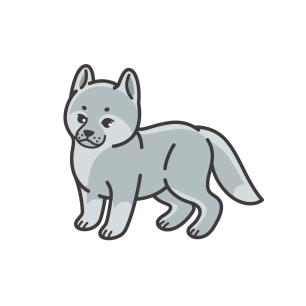 illustrations, cliparts, dessins animés et icônes de animal - louveteau gris