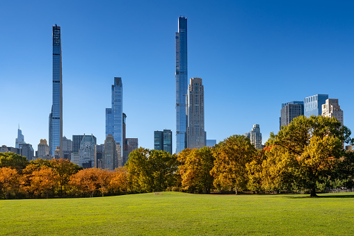 Central Park in Fall with Billionaires' Row skyscrapers from Sheep Meadow. Early morning light in Midtown Manhattan, New York City