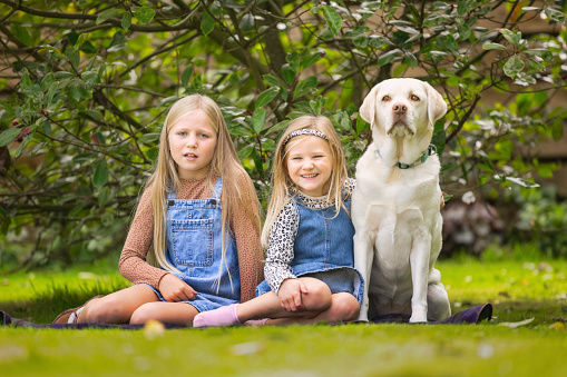 Siblings resting outdoors with their Labrador.