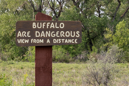 Buffalo Are Dangerous Sign reminds visitors to view from a distance