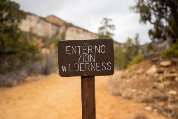 istock Entering Zion Wilderness Sign In Utah 1430004974