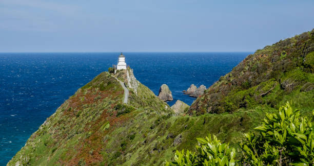 istock Nugget Point Lighthouse, Catlins, New Zealand. 1430005275