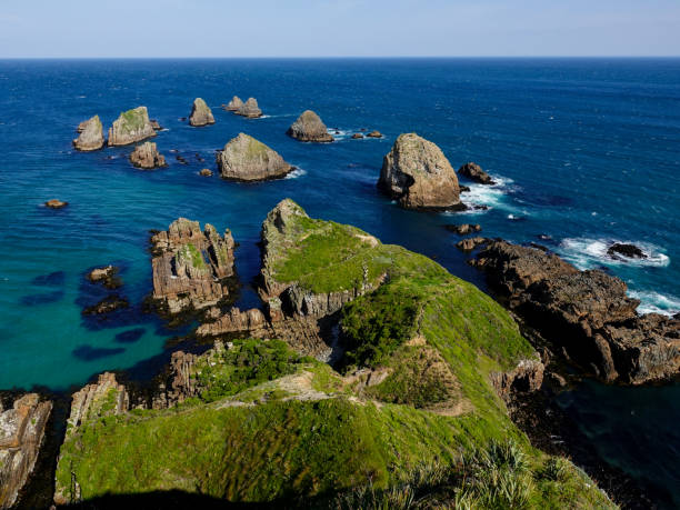 istock Nugget Point, Catlins, New Zealand. 1430005280