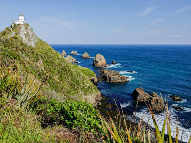 istock Nugget Point Lighthouse, Catlins, New Zealand. 1430005283