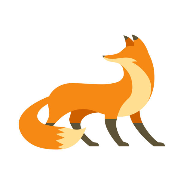 Red fox in flat style for print and design. Vector illustration. Red fox in flat style for print and design. Vector clipart. impatient stock illustrations
