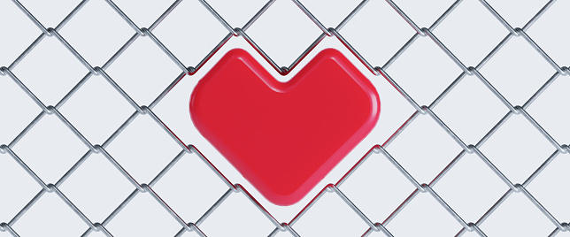 3d render of metal fence mesh with red heart in the middle isolated on white background, valentines day concept