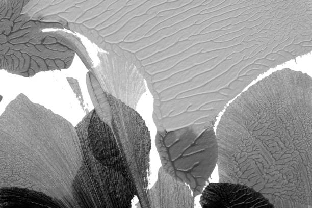 istock black white abstract acrylic painting color texture on white paper background by using rorschach inkblot method 1430017424