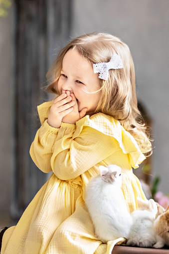 A little blonde toddler girl in a yellow dress sits on old suitcases with live rabbits. Emotions. Bright holiday of Easter.Chinese year of the rabbit.