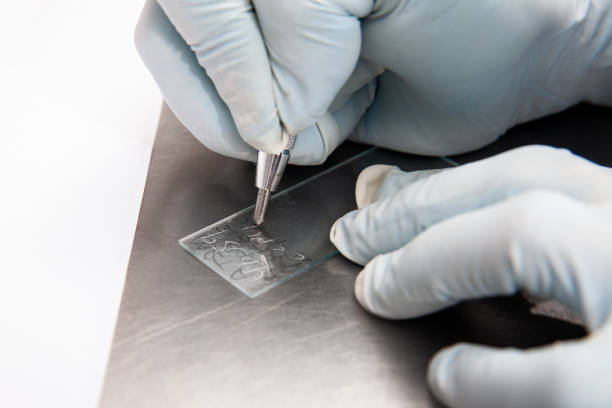 istock Laboratorian labelling a microscope slide using a diamond tip pencil. Laboratorian giving admission to pap smear samples in the laboratory for analysis. 1430022291