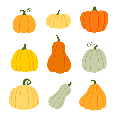 Set of pumpkins in various shapes and colors. Halloween and Thanksgiving day. Autumn decorative element. Hand drawn pumpkin. Vector illustration in trendy flat style isolated on white background.