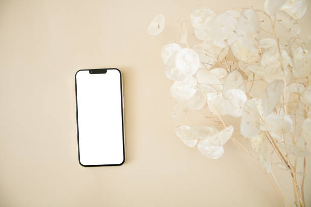 istock Top view mobile mockup with lunaria leaves on beige background 1430031232
