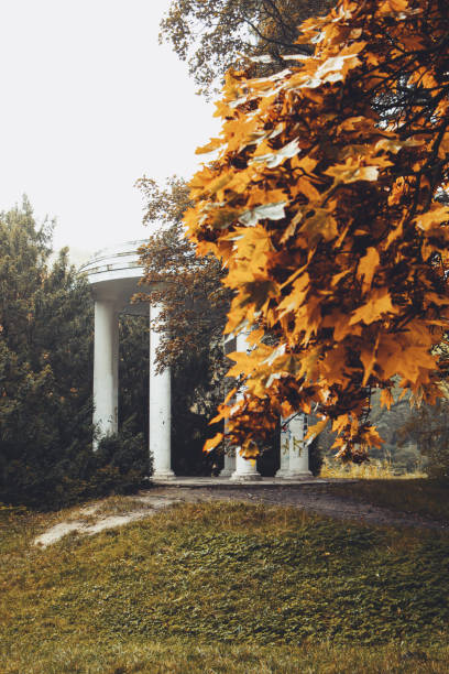 istock autumn in the park 1430033274