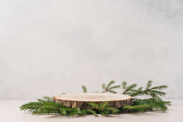 istock Wood slice podium and green spruce branches on white background 1430040864