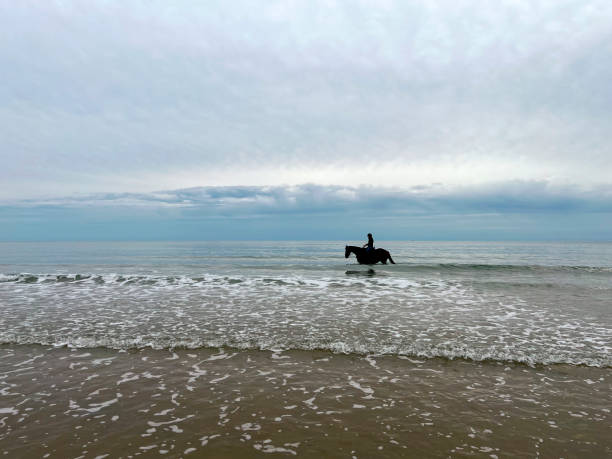 istock Enjoying the View While Horse Riding 1430047854
