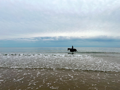 Rear view of a young female adult sitting on a horse while she looks at the horizon at the Northumbrian coastline.