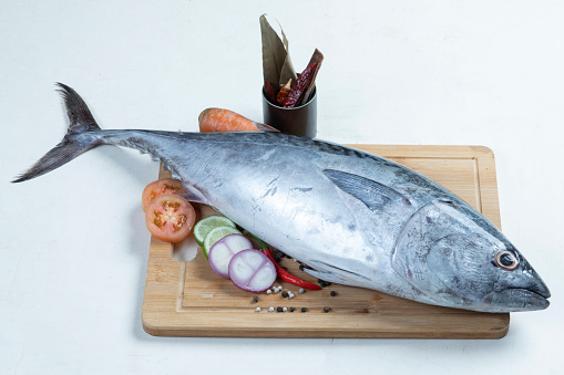Yokowa (young Pacific bluefin tuna), Japanese Katsuo fish (bonito, skipjack tuna)
