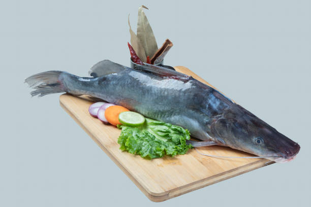 istock Raw fish isolated on white and banana leaf 1430050702