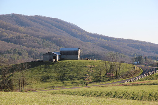 Views from the rural Virginia farmlands