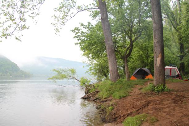 Camping, hiking, swimming and enjoying the canyon, forest, and waterfalls at Fillmore Glen State Park New York