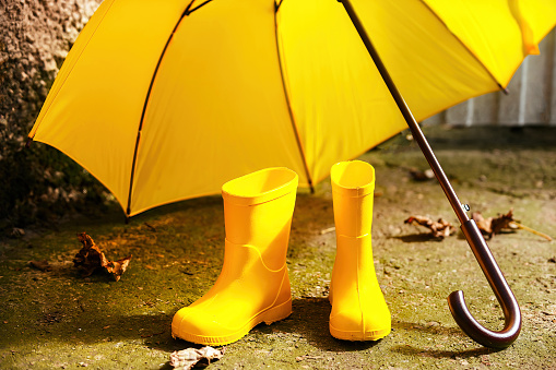 yellow rubber boots and a yellow umbrella stand on the ground on a warm autumn day. layout of seasonal fall items