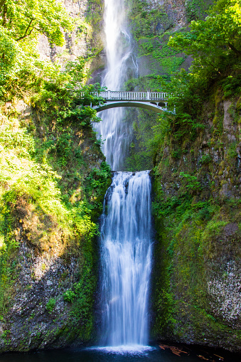 Multnomah Falls in Oregon. The waterfall flows under a single arch bridge and lush foliage.