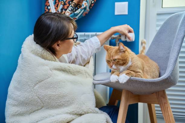 istock Woman under blanket with cat sitting near heating radiator 1430071408