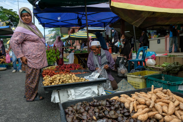 말레이시아의 마랑 - asia color image horizontal terengganu 뉴스 사진 이미지