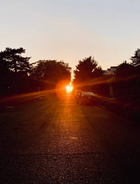 istock Sunset on the hill 1430073574