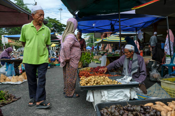 말레이시아의 마랑 - asia color image horizontal terengganu 뉴스 사진 이미지